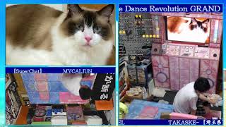 DP高難易度大会想定練習【たかすけの部屋】DanceDanceRevolution GRAND PRIX 配信