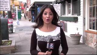 Tours of the Bronx