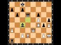 Anatoly Karpov-Bent Larsen, Tilburg 1980, Result: 0-1