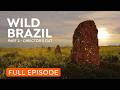 Brazil's Wild Highlands - Secrets of the Cerrado Grasslands | Full Documentary