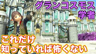 【FF14】グランコスモスに学者(ヒーラー)で挑戦【これだけ知っていれば怖くないヒーラー編 2021年版】