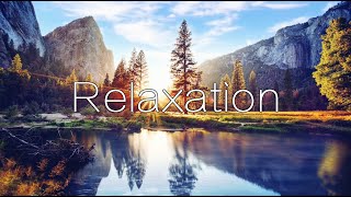 Wonderful Relaxing Music • Piano music • Calm melody • Stress relief