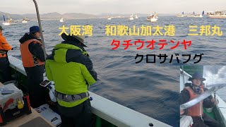 大阪湾　和歌山加太港　三邦丸　タチウオテンヤ