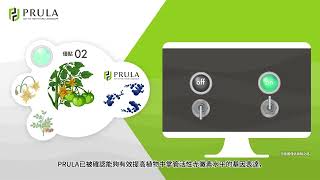 PRULA Product Introduction (台湾)