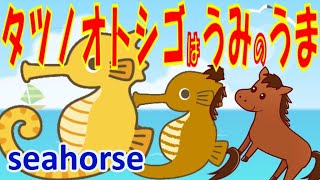 【ダジャレ英語】タツノオトシゴって海の馬❓英単語（マンボウ・ヒトデ・ナマズ・タツノオトシゴ）を楽しく覚えよう❤英会話、英語 勉強、英語 学習、English channel