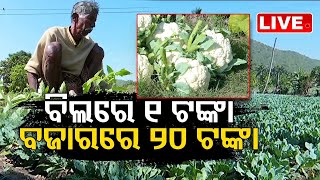 🔴 LIVE | ଚାଷୀ-ଖାଉଟି ହନ୍ତସନ୍ତ, ମାଲେ ମାଲ୍ ମଡିଲ ମ୍ୟାନ | ବିଲରେ କୋବି ଗୋଟେ 1 ଟଙ୍କା ବଜାରରେ 20 ଟଙ୍କା | OTV