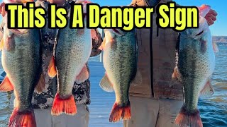 What Happened On Lake Guntersville Yesterday Should Disturb EVERY Bass Angler In America…