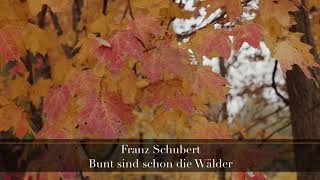 Schubert - Bunt sind schon die Wälder