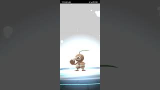 《Pokemon GO》 橡實果 進化