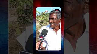 నన్ను జైలు లో వేయడానికి వాడు ఎవ్వడు.. | Old Man Comments On CM Revanth | Telangana | Mirror TV Plus