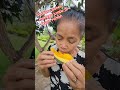 perdana panen mangga jumbo di depan rumah pertama x petik mangga sebesar ini 😱