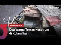 Dua Warga Tewas Kesetrum di Kolam Ikan