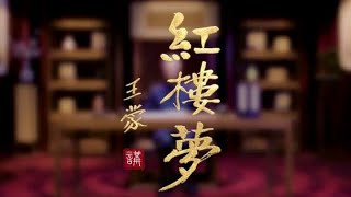 第14集|《王蒙讲红楼梦》牛气冲天的葬礼