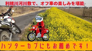 【SL230】ツーリングライダーが初めてオフロードコースを走ってみた【利根川河川敷】