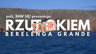 Rzut Okiem: Berelenga Grande (Portugalia)