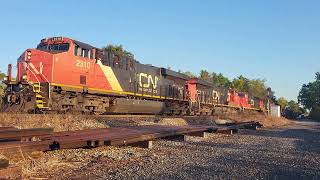 5 Units! CN A425 - 2310W at Stewarttown - October 04, 2024