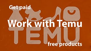 How to Work with Temu