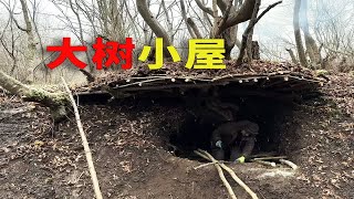 冰雪刺骨的丛林，男人在老树下搭建了庇护所