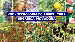 course - Korean Natural Farming - KNF. Innovative organic farming technology.