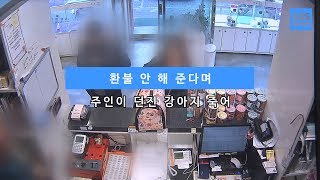 [KBS뉴스춘천] 환불 안 해 준다며 주인이 던진 강아지 죽어