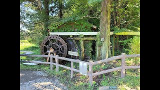 【八王子：片倉城跡公園】奥の沢から水車小屋まで