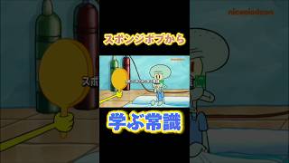 スポンジボブから学ぶ常識#spongebob #スポンジボブ