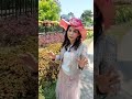 春分開運小妙法！遊大安森林公園賞花，招財桃花開｜雨揚老師分享