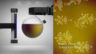 Small molecule capture on borane cluster