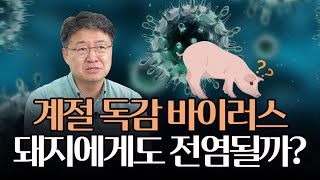 독감 바이러스의 변이가 많이 발생하는 이유