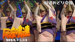 阿波鳴連　阿波おどり会館（2024 11 15）