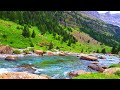 Relaxing Nature Ambience Meditation 🌳Healing Sounds of a Lovely SPRING Sunny Day in a Mountain RIVER