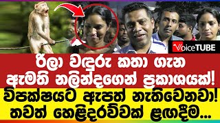 රිලා වඳුරු කතා ගැන ඇමති නලින්දගෙන් ප්‍රකාශයක්! විපක්ෂයට ඇපත් නැතිවෙනවා! තවත් හෙළිදරව්වක් ළඟදීම