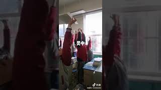 大陆学校的教育方式很是离谱