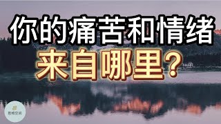 你的痛苦和情绪来自哪里？ | 2022 | 思维空间 0505