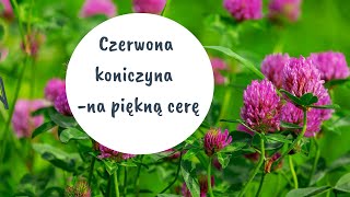 KONICZYNA CZERWONA -  NA PIĘKNĄ CERĘ, NA Odmłodzenie, ZA DARMO, ROŚNIE CAŁE LATO