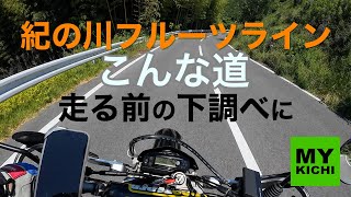 【人気のツーリングスポット･コース】紀の川フルーツラインはこんな道（和歌山県紀の川市〜橋本市）。バイク初心者も安心のツーリングコースを WR250R･セローで、道の駅「柿の郷くどやま」まで走ってみた。