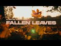 INYOURFACE // Fallen Leaves [Vertical Video]