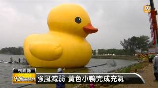 【2013.10.24】強風減弱 黃色小鴨完成充氣 -udn tv