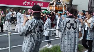 港区　愛宕神社　出世の石段祭　宮神輿渡御　2018.9.23 Atago Mikoshi