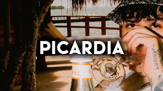 Picardía - Junior H, Rauw Alejandro, Natanael Cano, Peso Pluma (Corridos 2024)