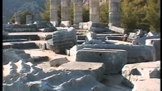 Democracy in the Ancient World: Part 1 of Democracy in World History