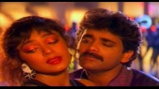 Neti Siddhartha Telugu Movie Songs | Neeve Kada Naa Sweetu | Nagarjuna | Sobhana