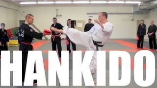 [04/04] Hankido seminar Lohja 2013 - Kicks (hapkido vs. taekwondo)