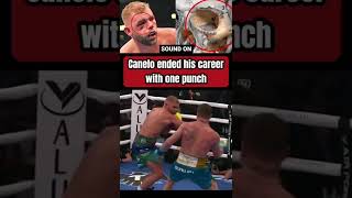 Canelo ended his career