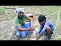 கருப்பு காடை வேட்டை 3 quail quailhunting quailhuntingtechnique