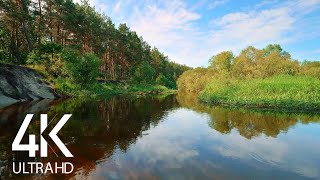 8 HOURS of Relaxing Birds Singing by a Peaceful River, Ukraine in 4K Ultra HD