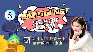 白嫖 Sui NFT | 只需  2 分钟，提前埋伏，获得空投机会✨✨——零撸上亿空投