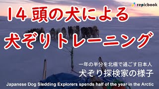 14頭の犬による犬ぞりトレーニング