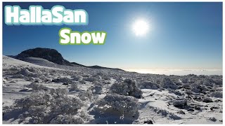 [SUB]4K한라산 폭설ㅣ영실코스ㅣ윗세오름ㅣ남벽분기점 Hallasan Snowfall | Yeongsil Course | Witseoreum | South Wall Junction