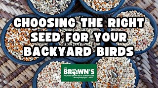 How to Choose the Right Wild Bird Seed